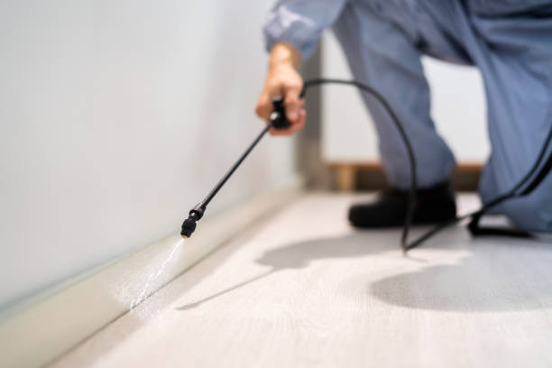 Bed Bug Pre-Treatment Preparation Assessment in Selma