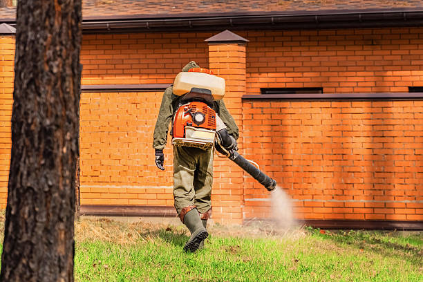 Bed Bug Clearance Verification and Documentation in Selma